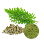 Moringa Extract - Image 3