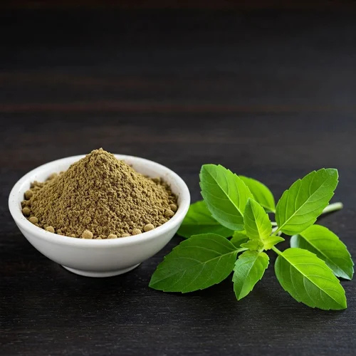 1 Holy Basil / Tulsi Extract - Image 1