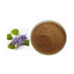 Coleus Forskohlii - Image 4