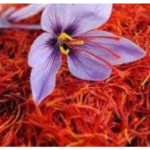 Saffron Extract - Image 3