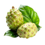 Noni Extract - Image 3