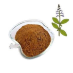 Coleus Forskohlii - Image 3