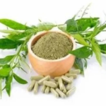 Andrographis / Kalmegh