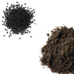 Black Seed / Kalonji - Image 3