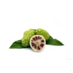 Noni Extract - Image 4