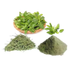 Andrographis / Kalmegh - Image 3