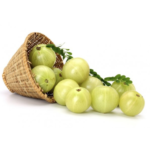 Amla / Indian Gooseberry - Image 3