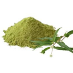 Bhringraj Extract - Image 3