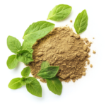 Holy Basil / Tulsi Extract - Image 4