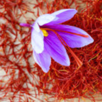 Saffron Extract - Image 4