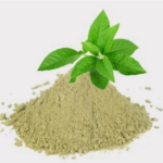 Andrographis / Kalmegh - Image 4