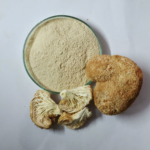 Lion's Mane Mushroom Extract - Image 2